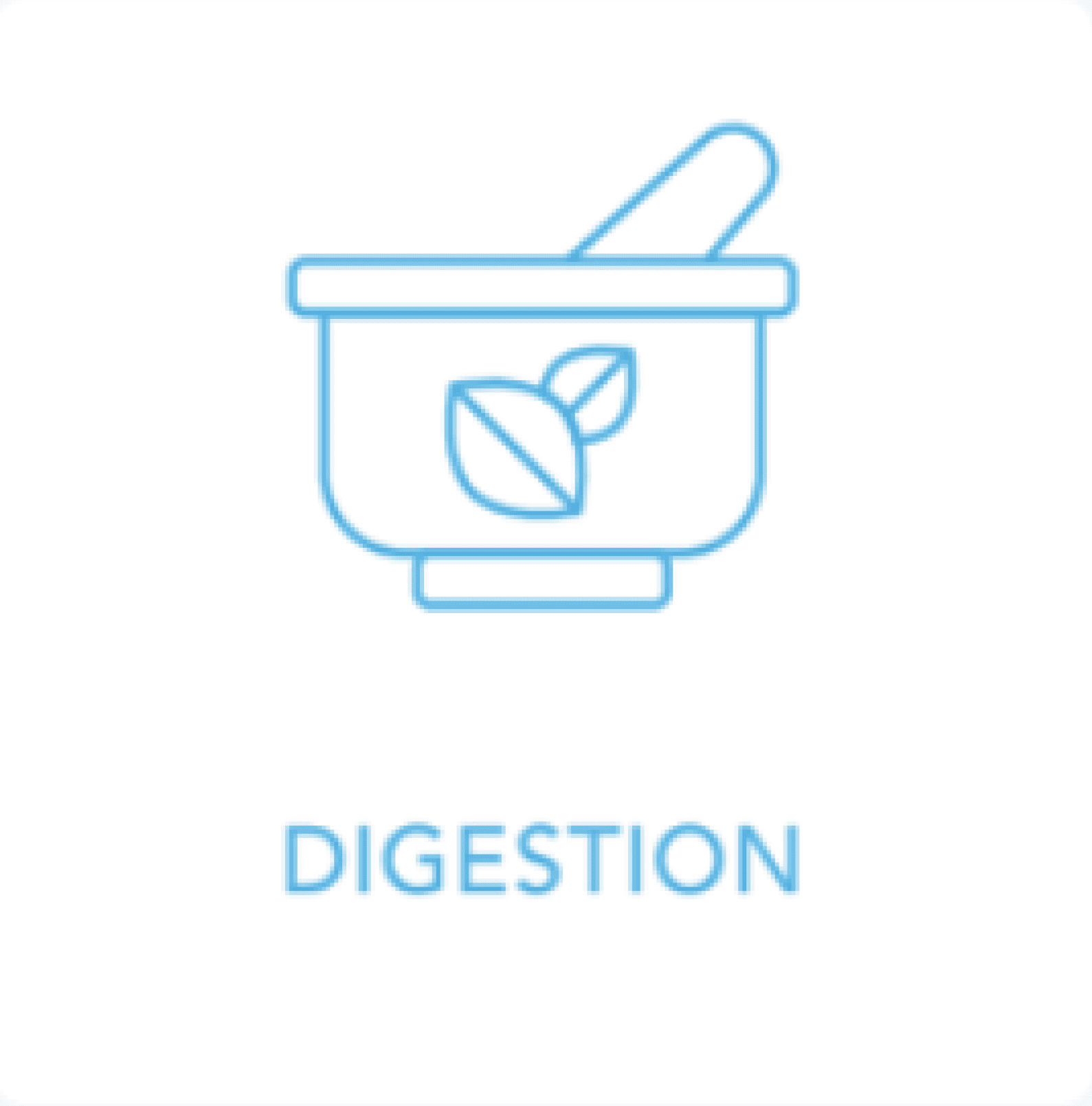 A blue icon with the word digestion written in it.