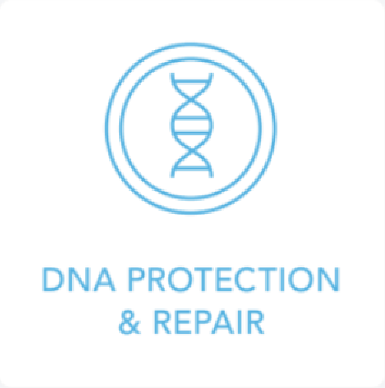 A blue icon with the words dna protection and repair.